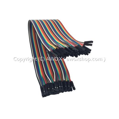 female to female 20cm 40 pin jumper