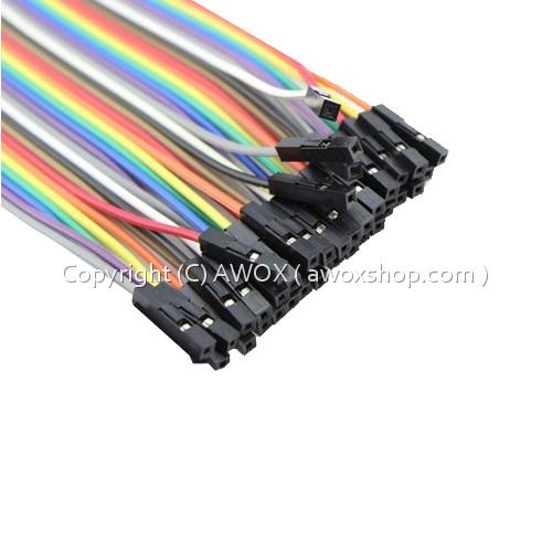 female to female 20cm 40 pin jumper2