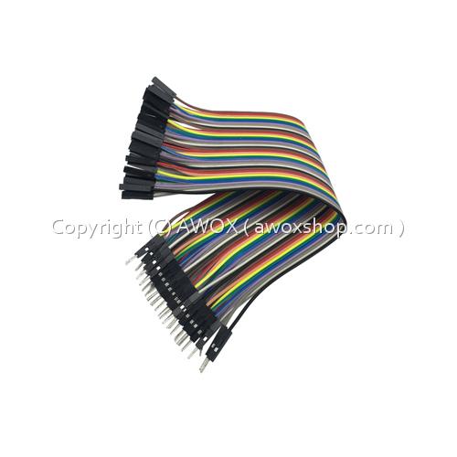 male to female 20cm 40 pin jumper