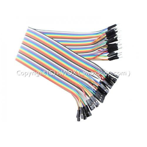 male to female 20cm 40 pin jumper1