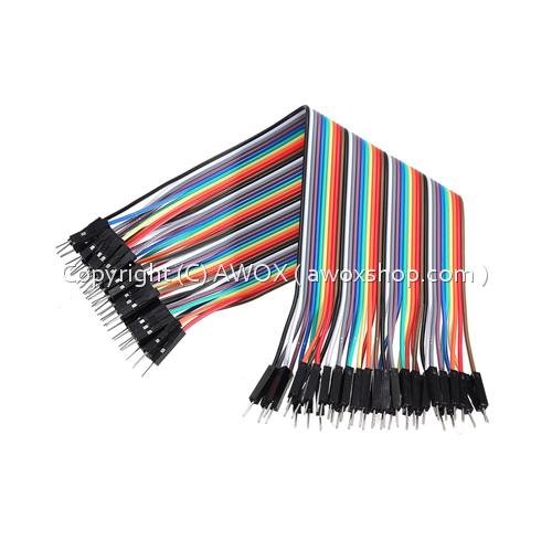 male to male 20 cm 40 pin jumper