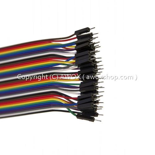male to male 20 cm 40 pin jumper1